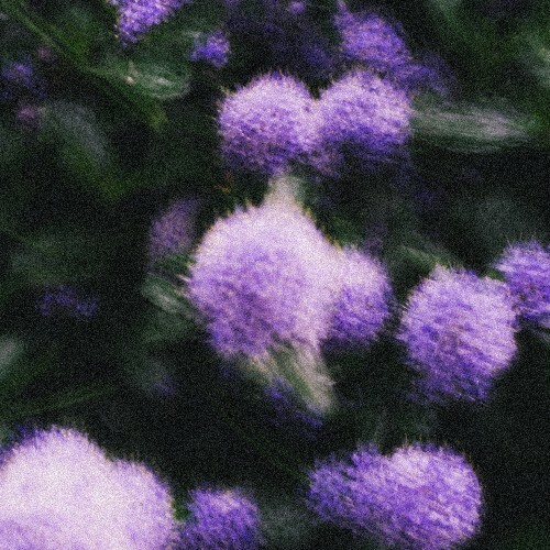 En:vy — Finite Heart (2026)