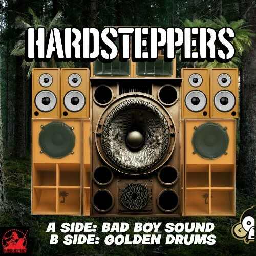 VA - Hardsteppers - Bad Boy Sound (2024) (MP3) METTF83_o