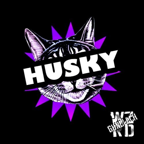  Insmnc, WZRD Gundlach, Night Mode - HUSKY (2025) 