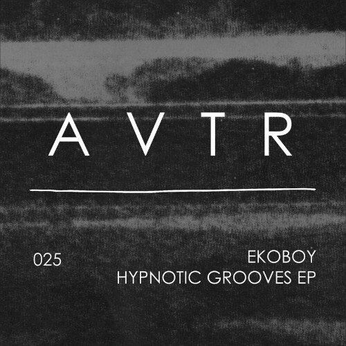  Ekoboy - Hypnotic Grooves (2024)  MEU744P_o