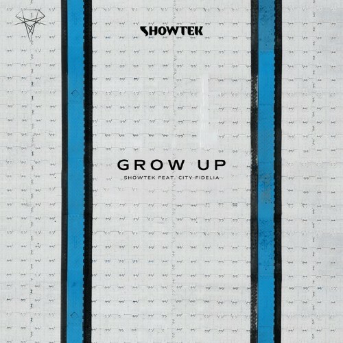  Showtek Feat City Fidelia - Grow Up (2024) 
