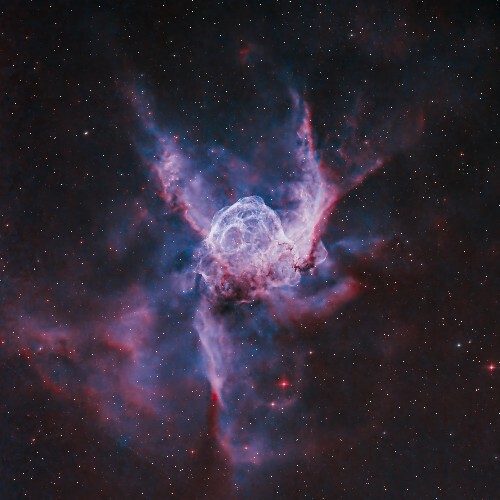  Pfirter - Black Sun (2026) 