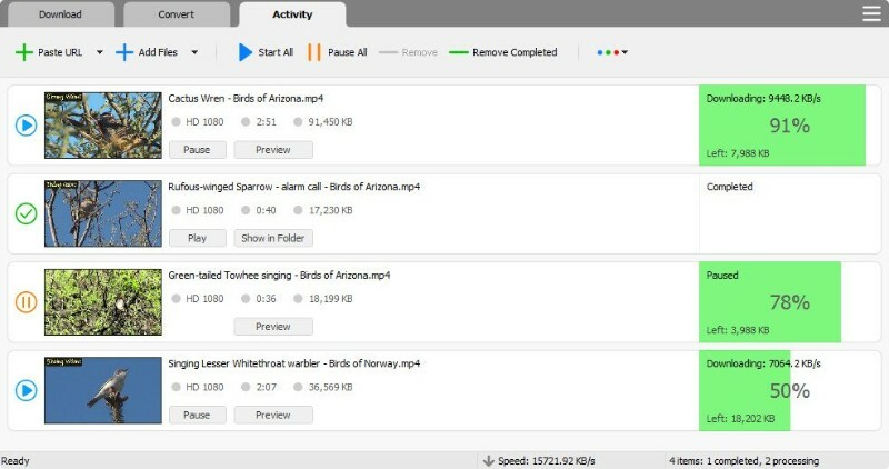 YT Video Downloader 12.3.7 (x64)