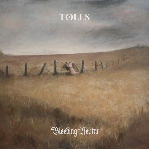 Tolls - Bleeding Nectar (2026) Tolls - Bleeding Nectar (2026)