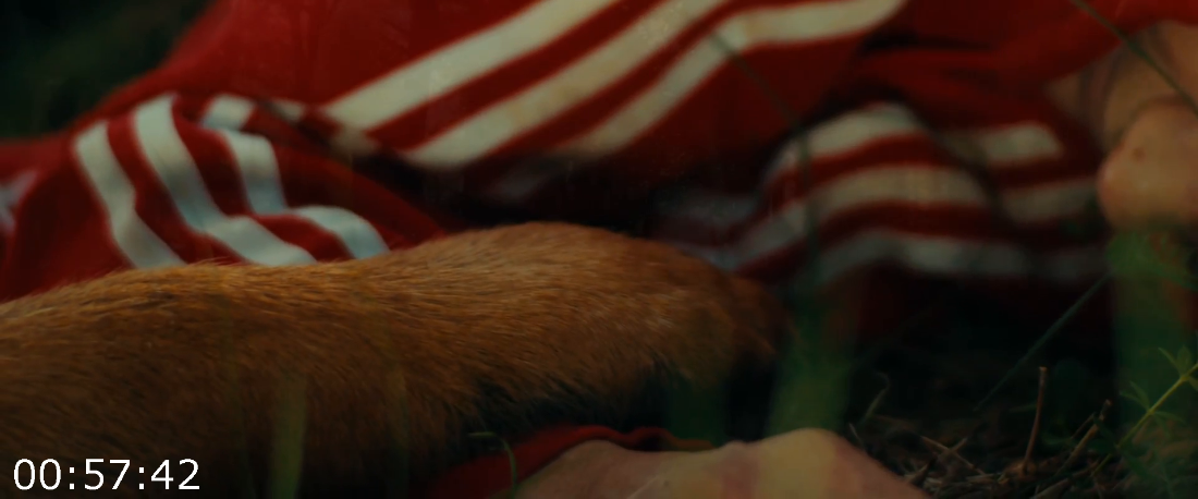 [Kép: ME1AWF2V_o.png]