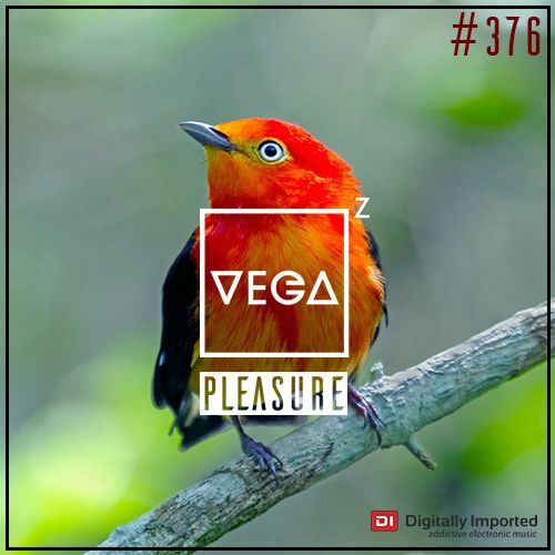  Vega Z - Pleasure 376 (2024-04-24) 