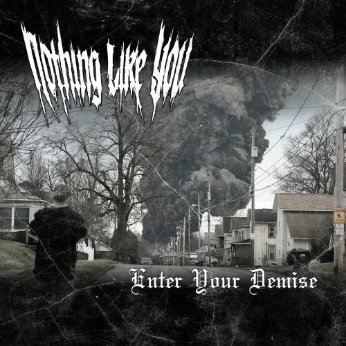 VA - Nothing Like You - Enter Your Demise (2023) (MP3)