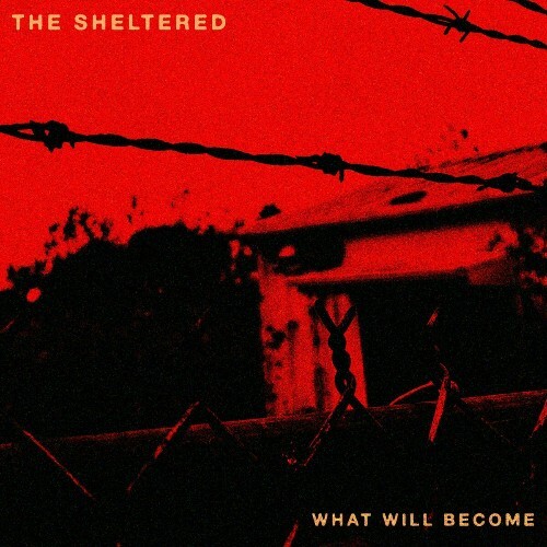  The Sheltered - What Will Become (2024) 