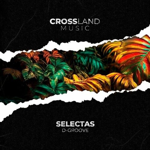 D-Groove — Selectas (2024)