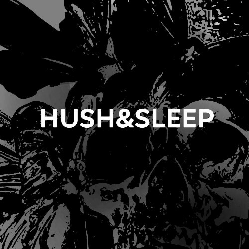 VA - Hush & Sleep - Be Silent (2022) (MP3)
