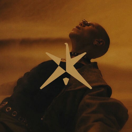  Juno Reactor - Navras (Ruback Remix) (2025) 