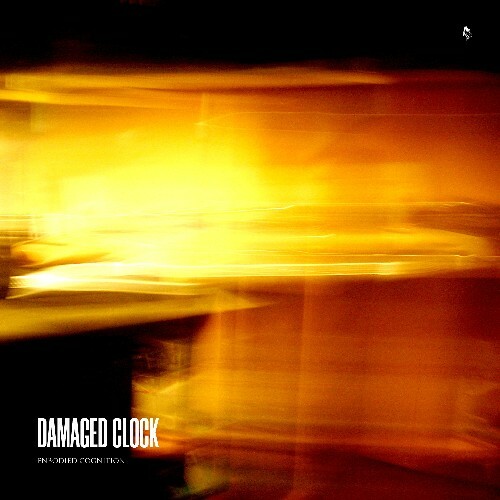 VA - Damaged Clock - Embodied Cognition (2024) (MP3)