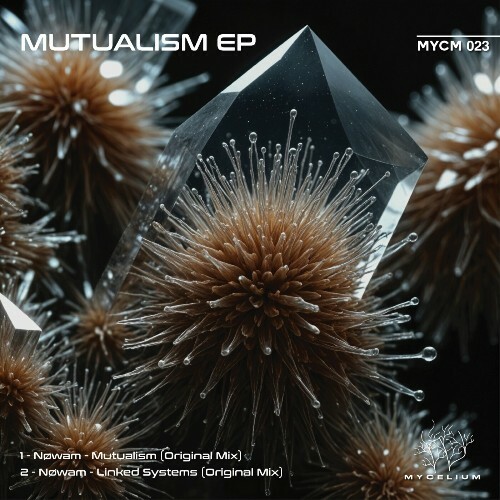  Nøwam - Mutualism (2024) MP3 MEUQVHE_o