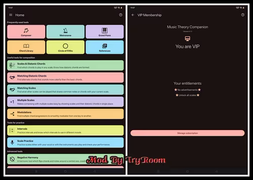 Music Theory Companion V8.1.2