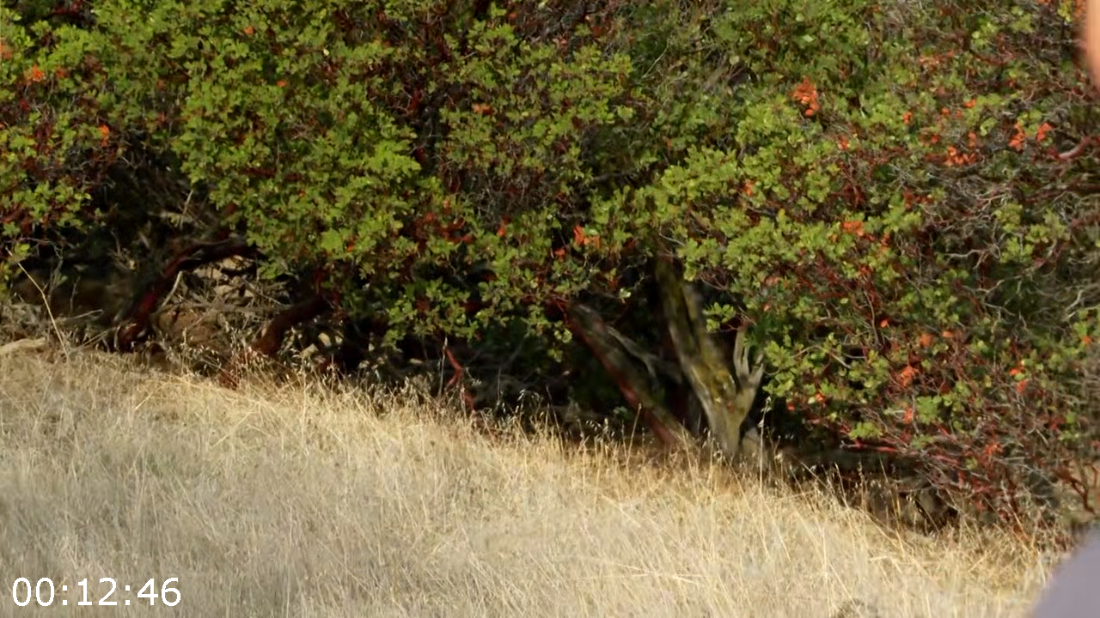 [Image: ME16ZEIW_o.png]