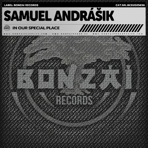  Samuel Andr&#225;&#154;ik - In Our Special Place (2025) 