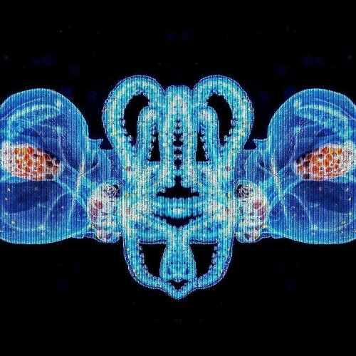  Frank Funke - Recurrence (2025) 