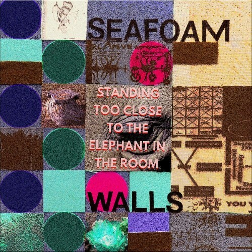  Seafoam Walls - Standing Too Close to the Elephant in the Room (2024) 