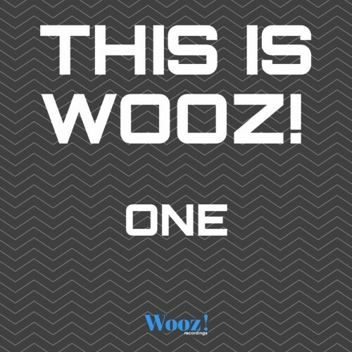  This is Wooz! - One (2023) 