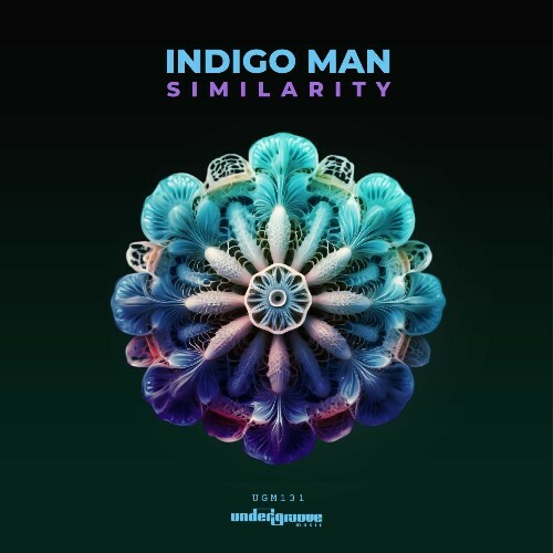  Indigo Man - Similarity (2025) 