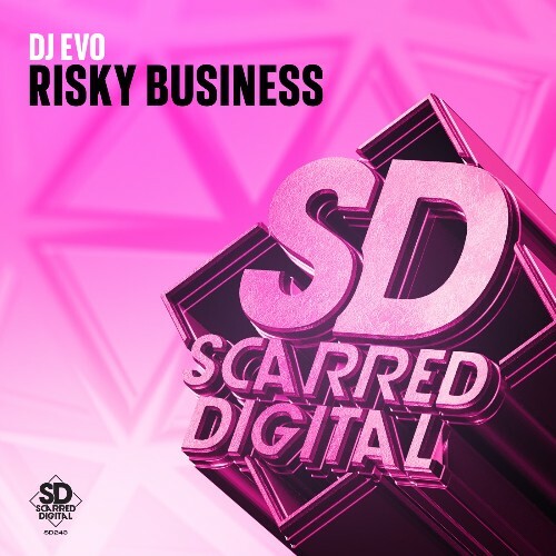  DJ Evo - Risky Business (2025) 