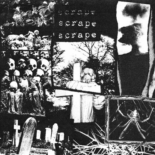  Scrape - Scrape (2024) 