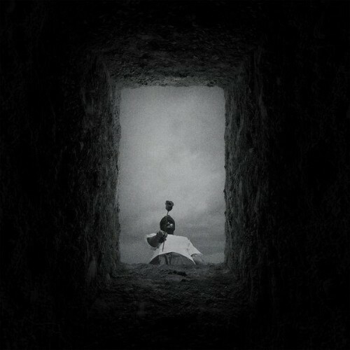  INTERNET KILLED THE SUPERSTAR (2026) 