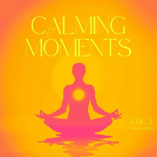  Calming Moments, Vol. 2 (2024) 