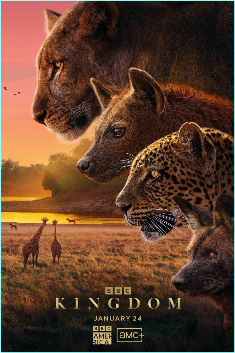 [Image: ME18D14L_o.png]