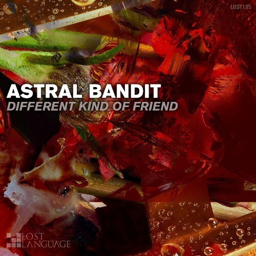 Astral Bandit - Different Kind Of Friend (2023)