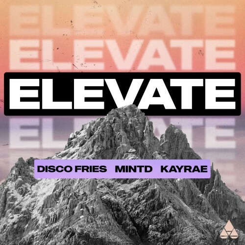  Disco Fries and Mintd and Kayrae - Elevate (2026) 