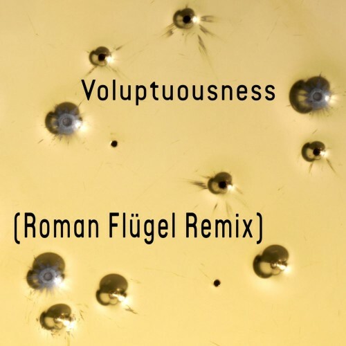  Pdqb - Voluptuousness (Roman Flügel Remix) (2026) 