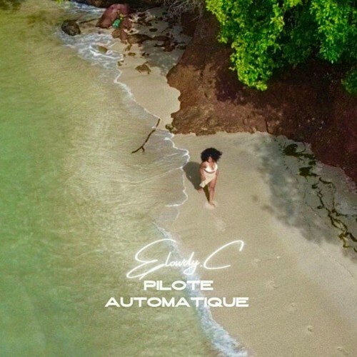 VA - Pilote automatique (2024) (MP3) MEVMC01_o