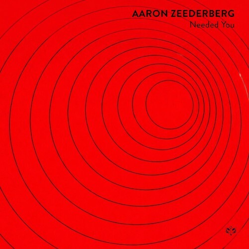  Aaron Zeederberg - Needed You (2026) 