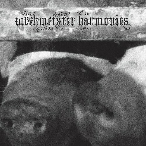  Wrekmeister Harmonies - Flowers In The Spring (2025) 