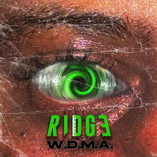 VA - W.D.M.a. (2024) (MP3)