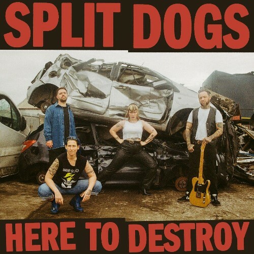  Split Dogs - Here To Destroy (2025) 