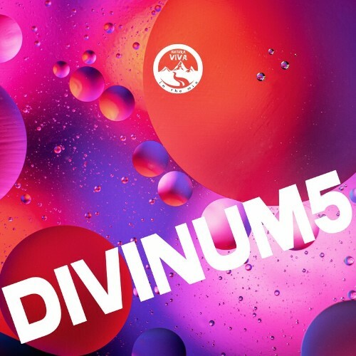 Divinum 5 (2023) MP3