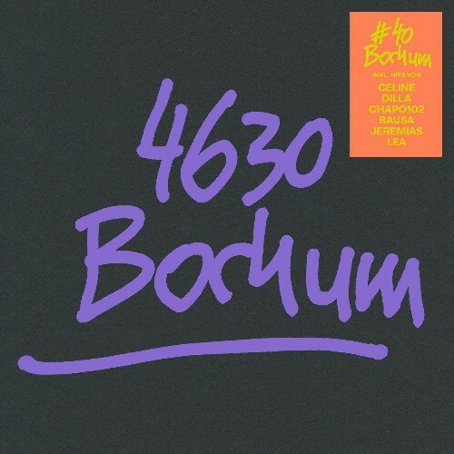 VA - 4630 Bochum (40 Jahre Edition) (2024) (MP3) METWWDB_o