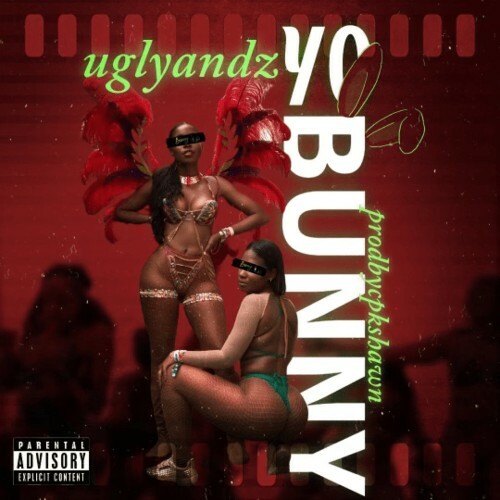 Prodbycpkshawn Feat Ugly Andz. - Yo Bunny (2024)