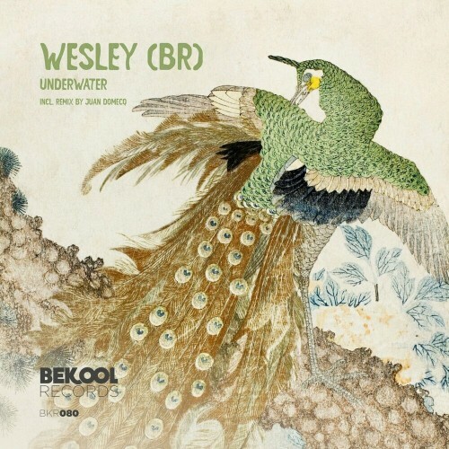  WESLEY (BR) - Underwater (2024) 