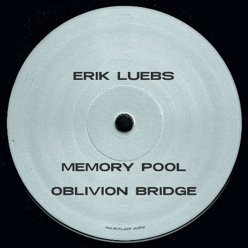  Erik Luebs - Reversing Time (2026) 