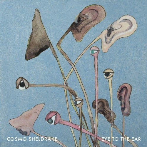 Cosmo Sheldrake — Eye To The Ear (2024)