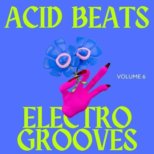  Acid Beats Electro Grooves, Vol.6 (2024) 