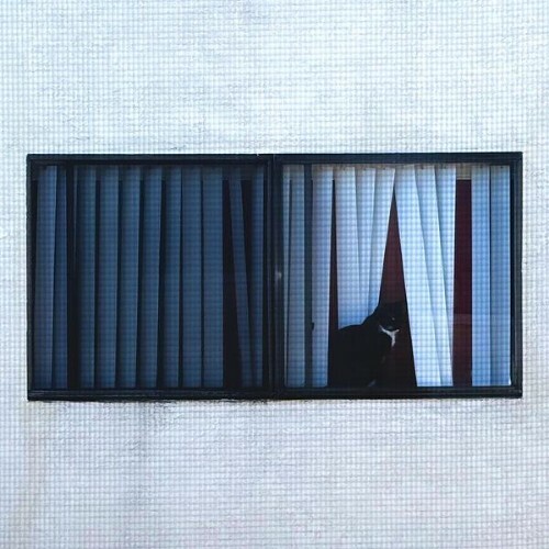 Sega Bodega - I Created The Universe So That Life Could Create a Language So Complex, Just To Say How Much I Love You (2025) Sega Bodega - I Created The Universe So That Life Could Create a Language So Complex, Just To Say How Much I Love You (2025)