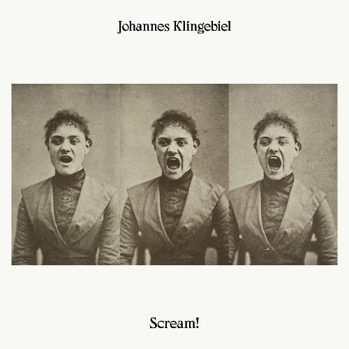 VA - Johannes Klingebiel - Scream! (2024) (MP3) METWPQ8_o