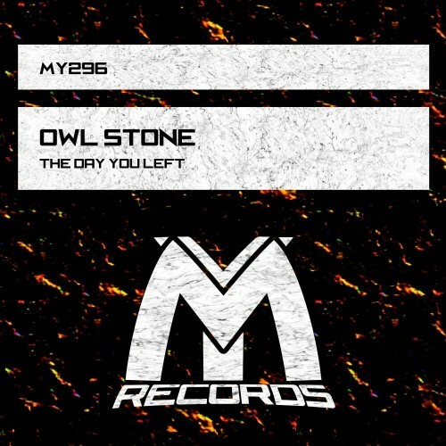 VA - Owl Stone - The Day You Left (2024) (MP3)