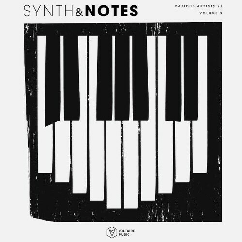 Synths & Notes, Vol. 9 (2026)