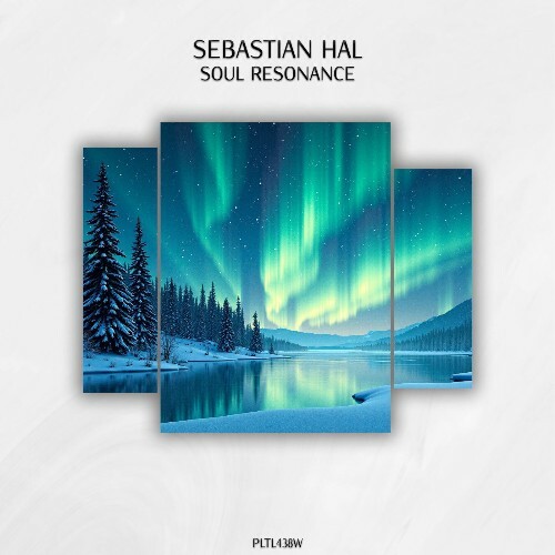  Sebastian Hal - Soul Resonance (2025) 