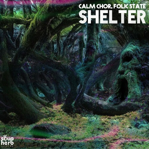 Calm Chor, Folic State — Shelter (2026)